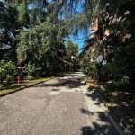 4 locali Viridiana Forze Armate