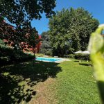 4 locali Viridiana Forze Armate